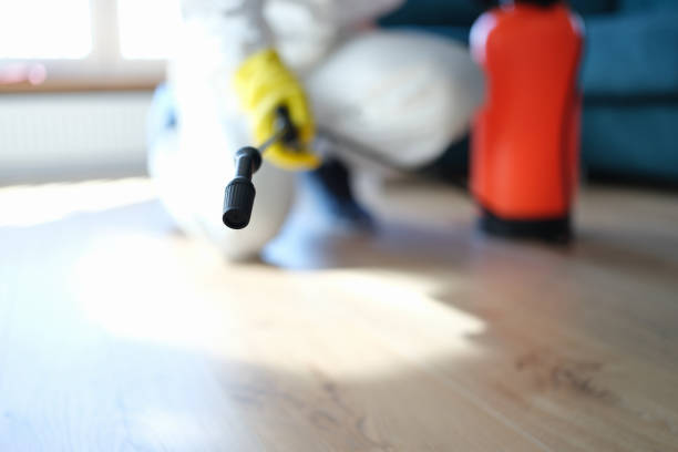 Best Forensic Mold Investigation  in North Spearfish, SD