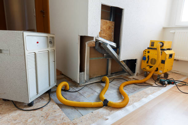 Best Emergency Mold Remediation  in North Spearfish, SD